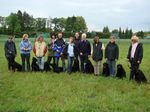 Alle Hunde