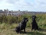 Smilla und Ronja